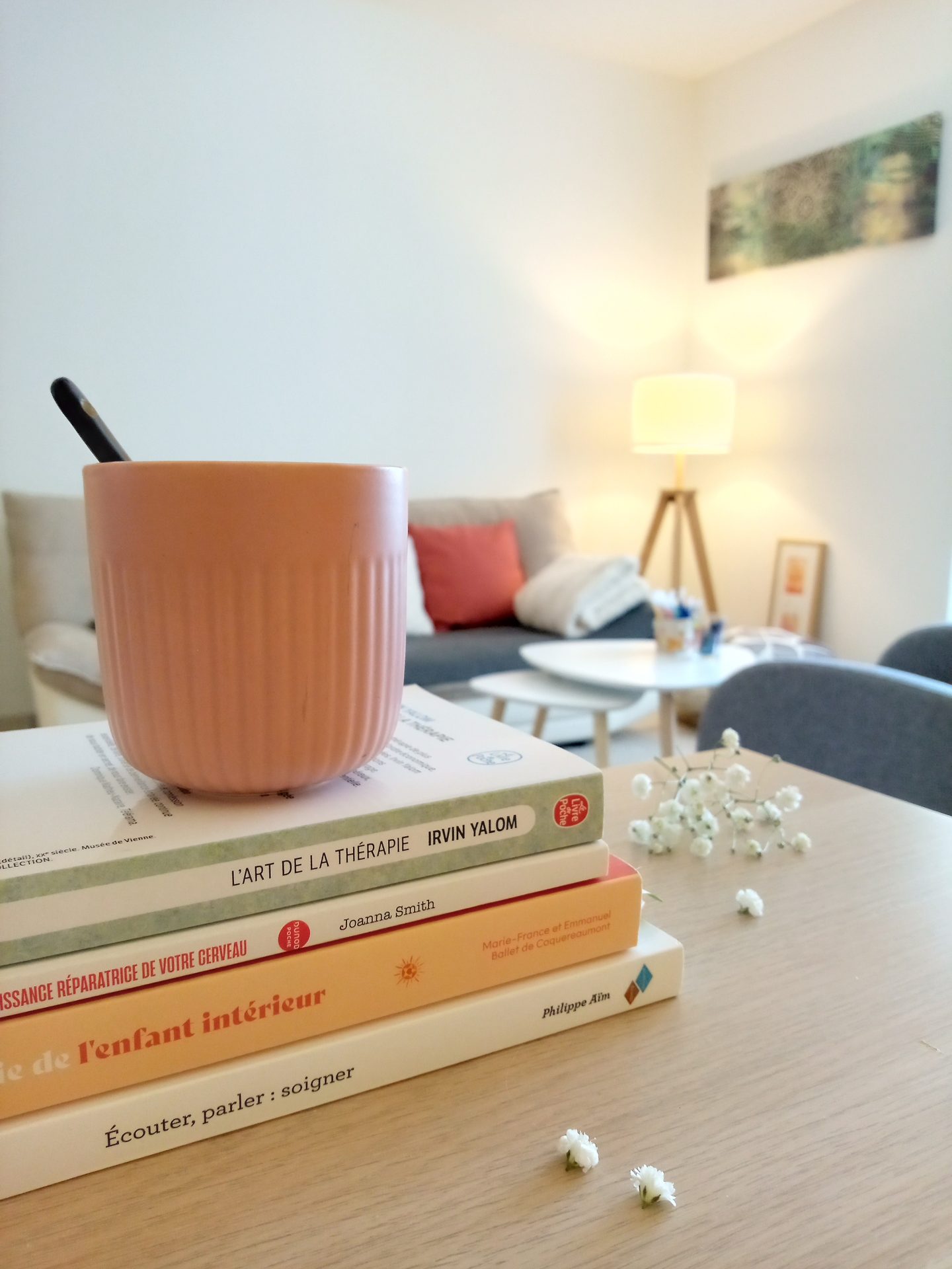 Livres dans un cabinet de thérapie à Colmar