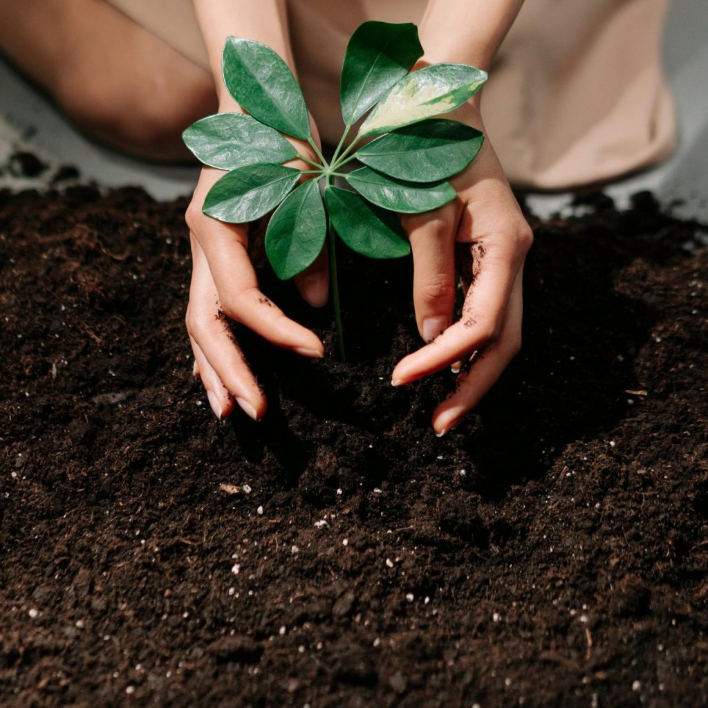 Philosophie du programme « Terre intérieure »